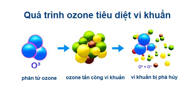 Quá trình ozone tiêu diệt vi khuẩn