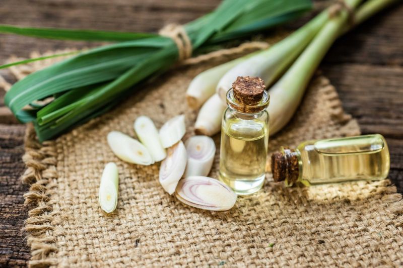 Sử dụng tinh dầu sả để xông mặt