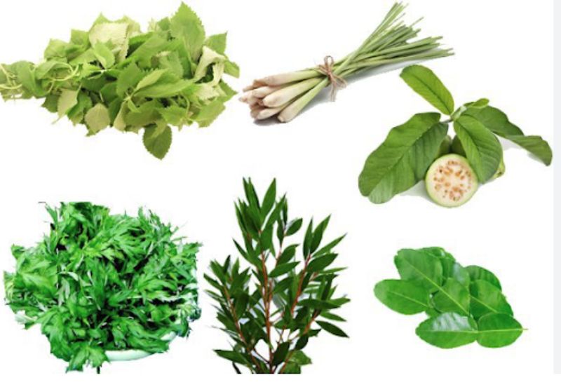 Nguyên liệu chuẩn bị để xông hơi