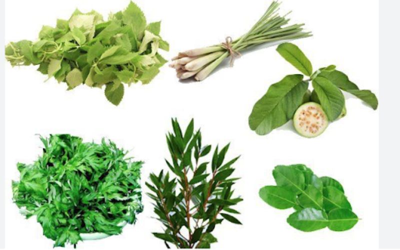 Nguyên liệu chuẩn bị trước khi xông