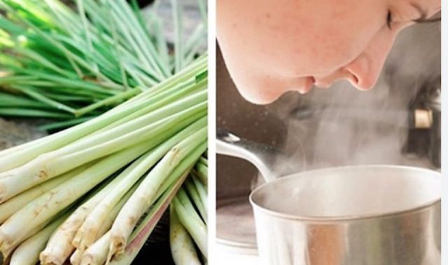 Phương pháp xông mũi họng cho bà bầu