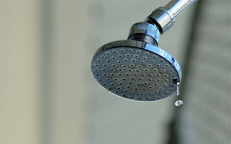 Bát sen bị nứt, vỡ