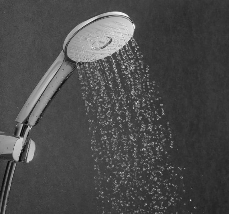 Cấu tạo chi tiết của sen cây