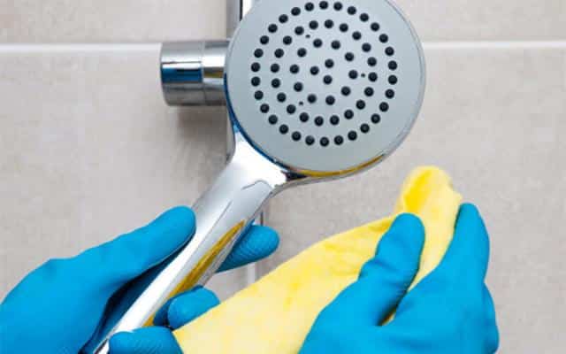 Dụng cụ để vệ sinh sen cây