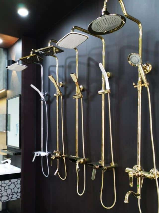 Lựa chọn sen cây cho phù hợp